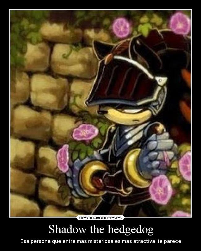 Shadow the hedgedog -