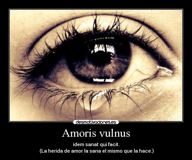 Amoris vulnus - idem sanat qui facit.
 (La herida de amor la sana el mismo que la hace.)