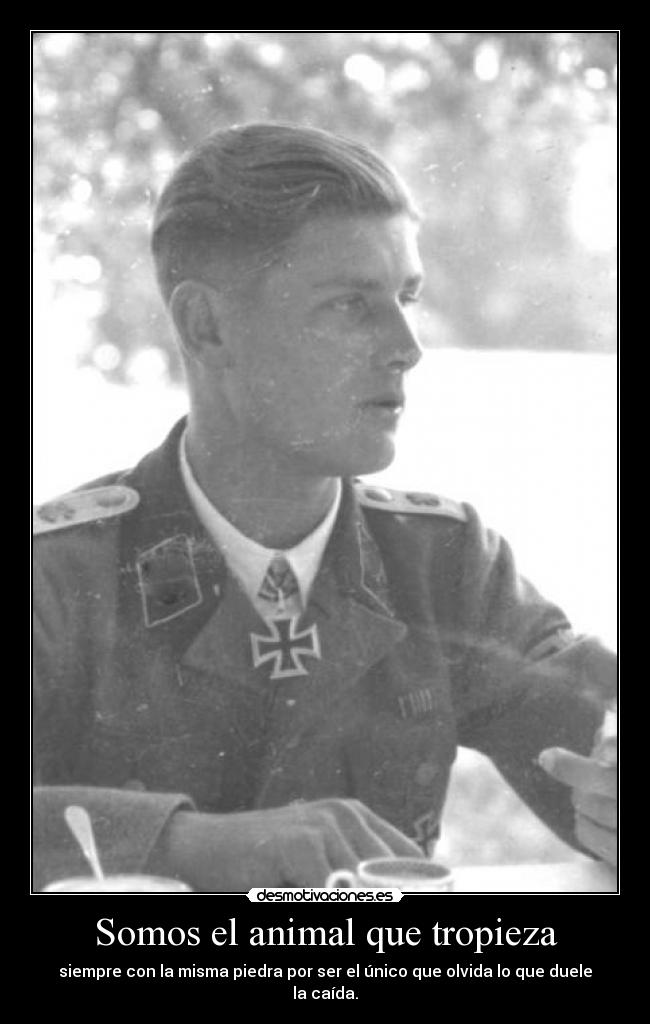 Somos el animal que tropieza -