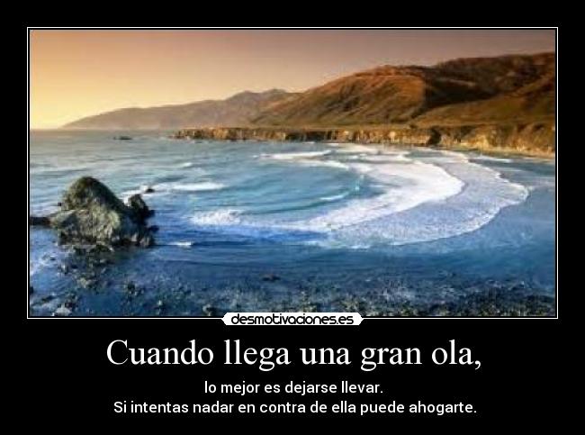 carteles gran verdad desmotivaciones