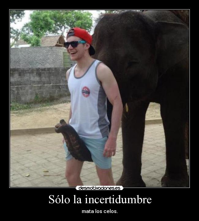 Sólo la incertidumbre - mata los celos.