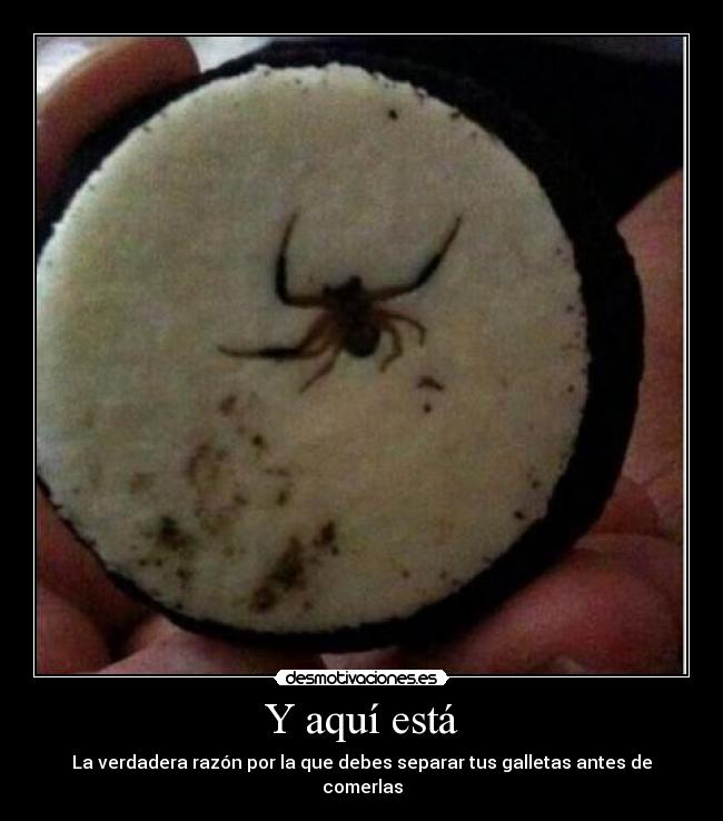 carteles doctor perturbador raptorhunters quieres saber por que debes saborearlas creeme desmotivaciones