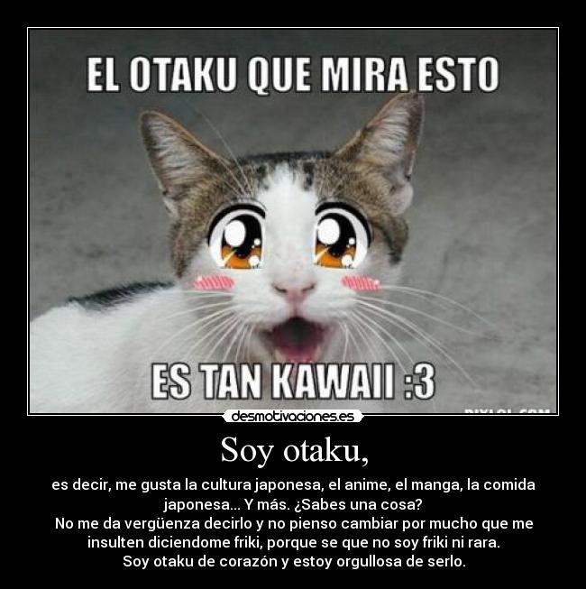 Soy otaku, - es decir, me gusta la cultura japonesa, el anime, el manga, la comida
japonesa... Y más. ¿Sabes una cosa?
No me da vergüenza decirlo y no pienso cambiar por mucho que me
insulten diciendome friki, porque se que no soy friki ni rara.
Soy otaku de corazón y estoy orgullosa de serlo.