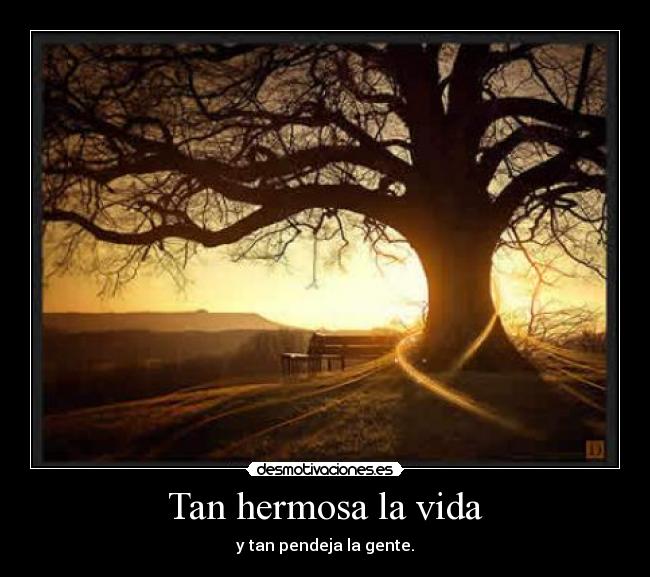 Tan hermosa la vida - 