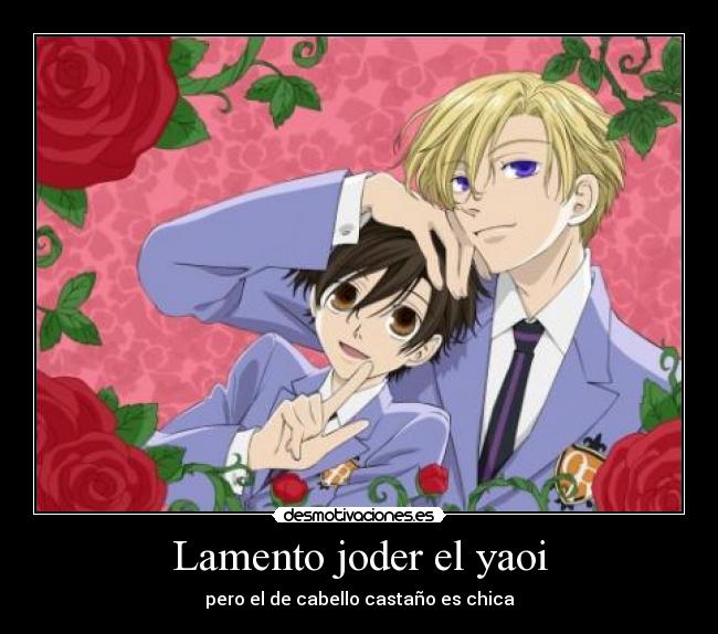 Lamento joder el yaoi - pero el de cabello castaño es chica