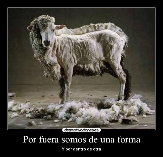 Por fuera somos de una forma - 