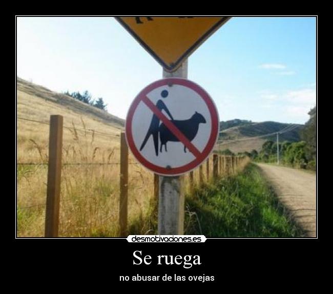 carteles sawglam94 desmotivaciones