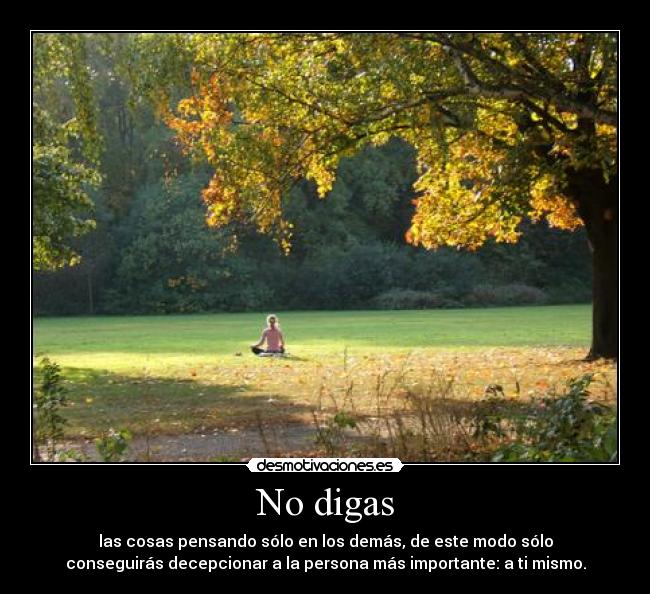 No digas - las cosas pensando sólo en los demás, de este modo sólo
conseguirás decepcionar a la persona más importante: a ti mismo.
