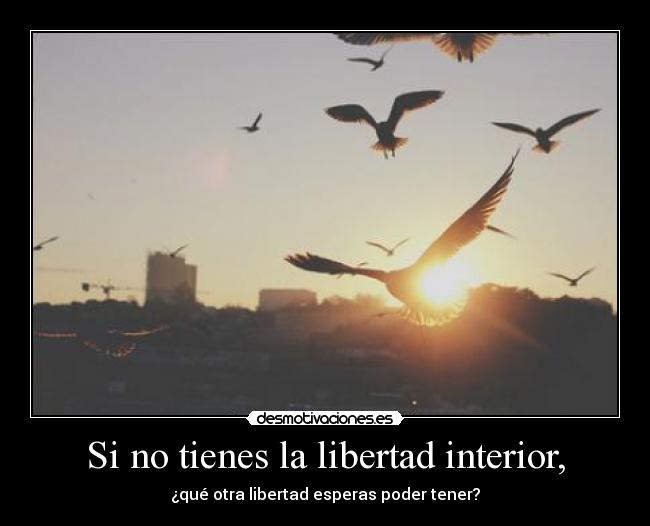 Si no tienes la libertad interior, - 