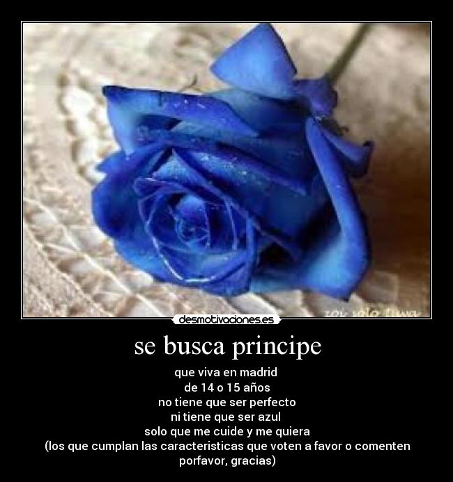 se busca principe - que viva en madrid 
de 14 o 15 años
no tiene que ser perfecto
ni tiene que ser azul 
solo que me cuide y me quiera
(los que cumplan las caracteristicas que voten a favor o comenten porfavor, gracias)