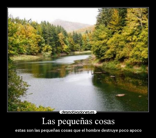 Las pequeñas cosas - estas son las pequeñas cosas que el hombre destruye poco apoco