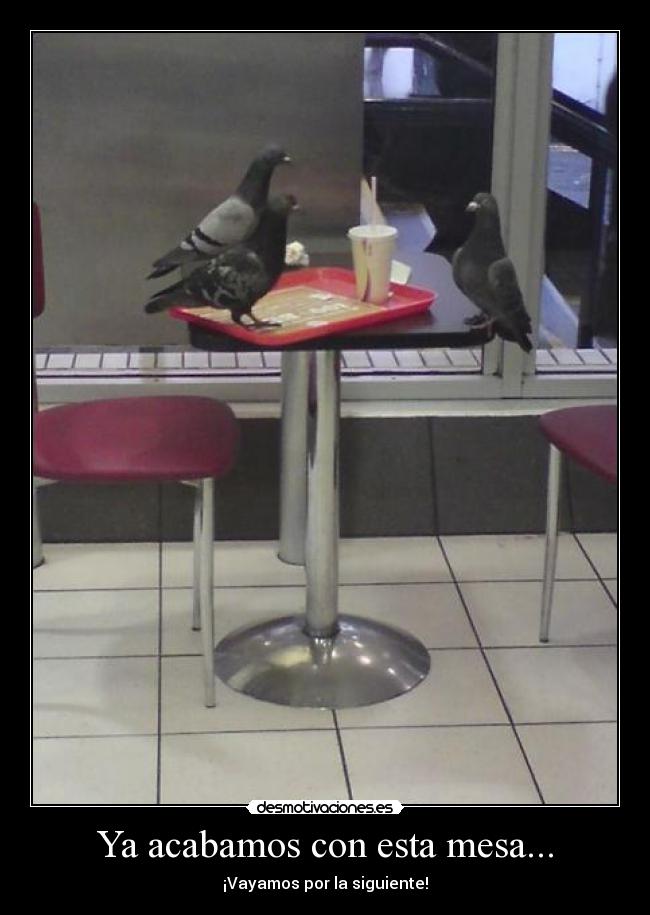 Ya acabamos con esta mesa... - ¡Vayamos por la siguiente!