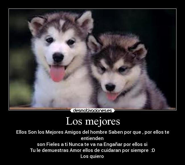 carteles m0d3rn0 desmotivaciones