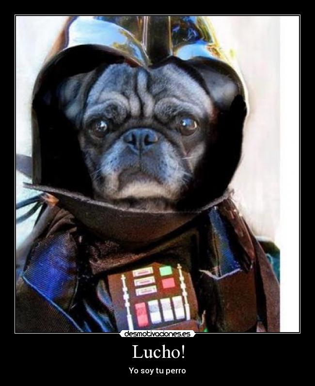 Lucho! - Yo soy tu perro