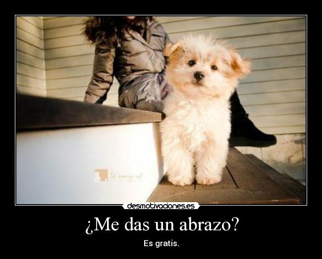 ¿Me das un abrazo? - 