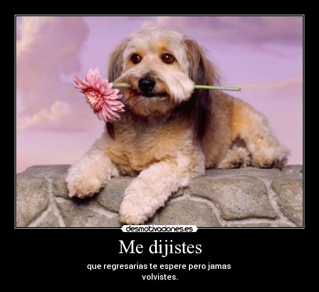 Me dijistes - 