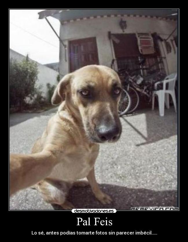 Pal Feis - Lo sé, antes podías tomarte fotos sin parecer imbécil.....