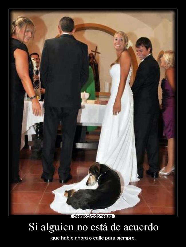 Si alguien no está de acuerdo - que hable ahora o calle para siempre.