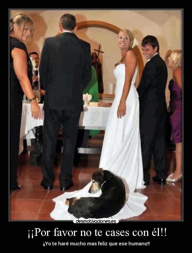 ¡¡Por favor no te cases con él!! - 