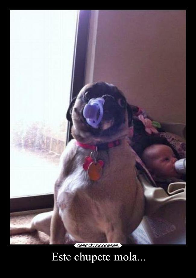 Este chupete mola... -