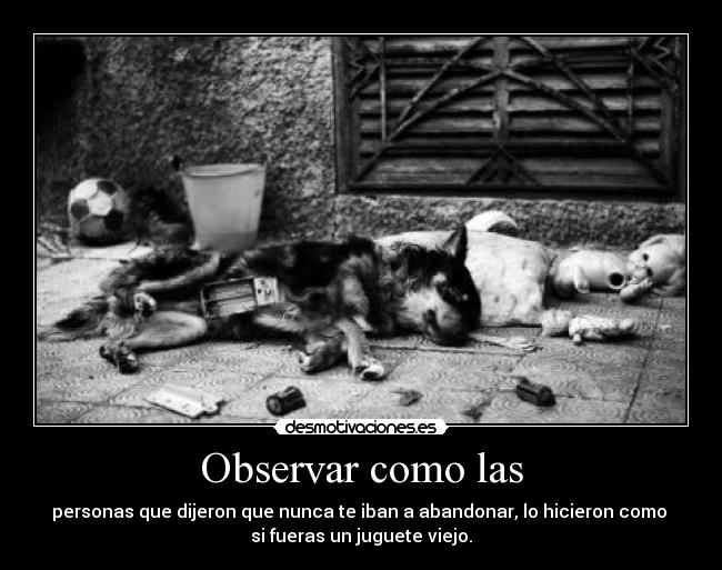 Observar como las -