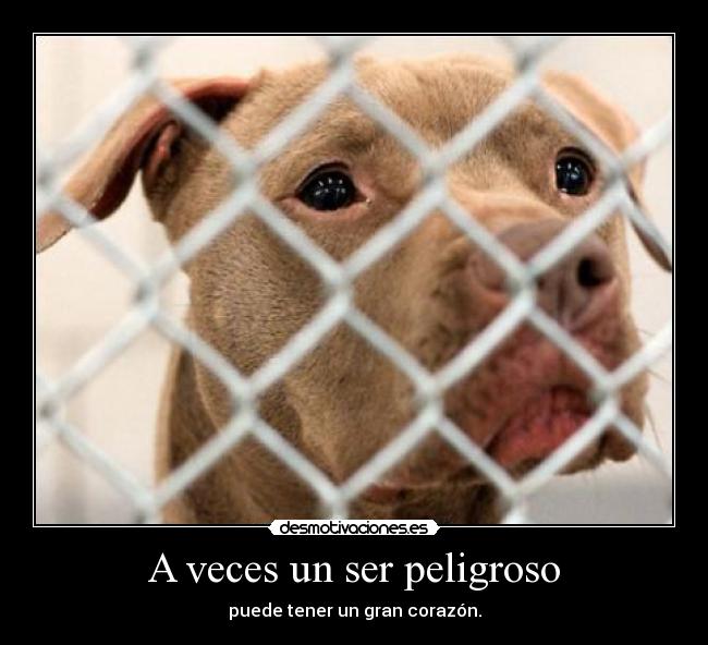 A veces un ser peligroso -