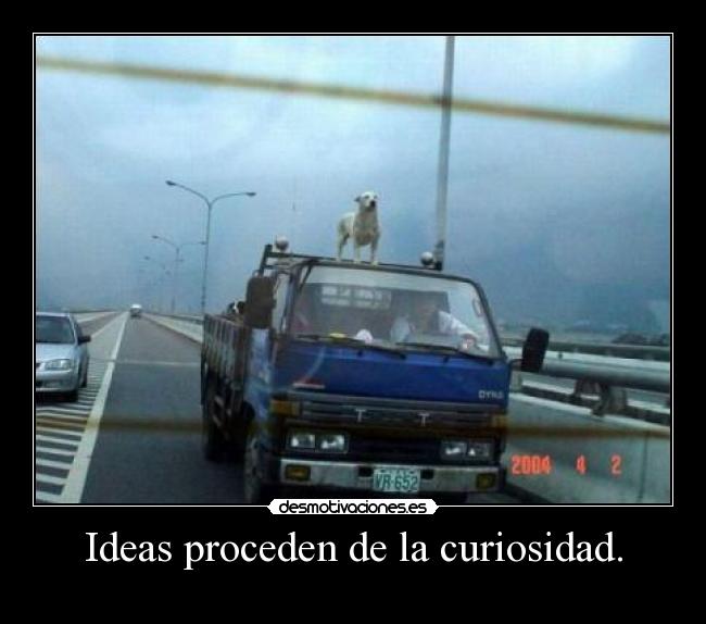 Ideas proceden de la curiosidad. -