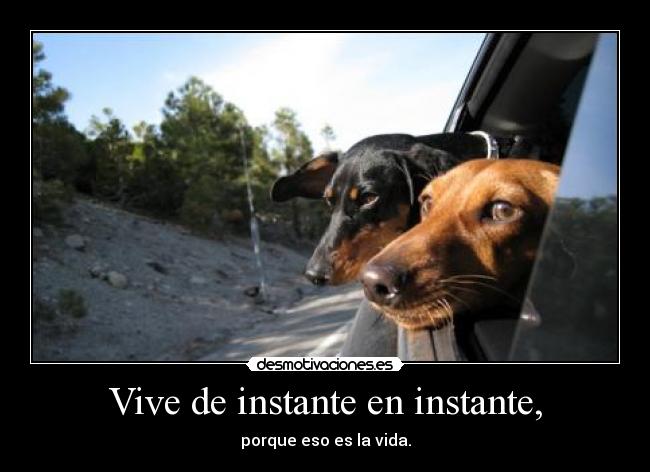 Vive de instante en instante, - porque eso es la vida.