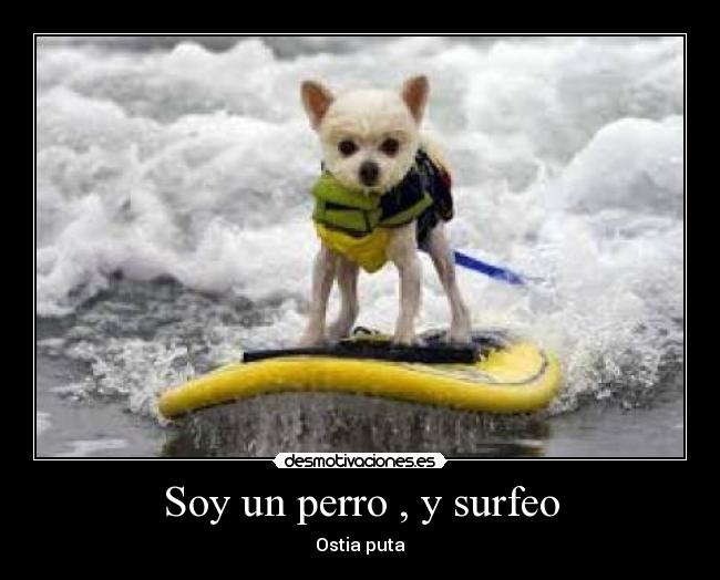 Soy un perro , y surfeo - Ostia puta