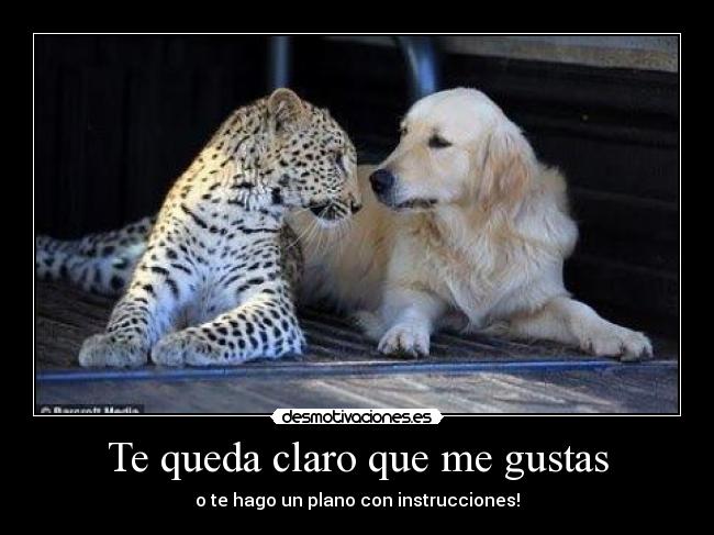 Te queda claro que me gustas -