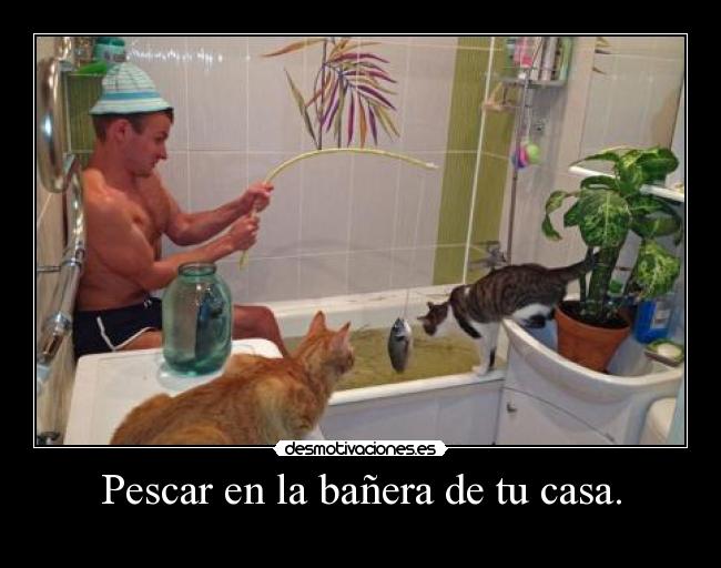 Pescar en la bañera de tu casa. -