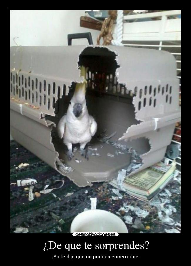 carteles que sorprendes desmotivaciones