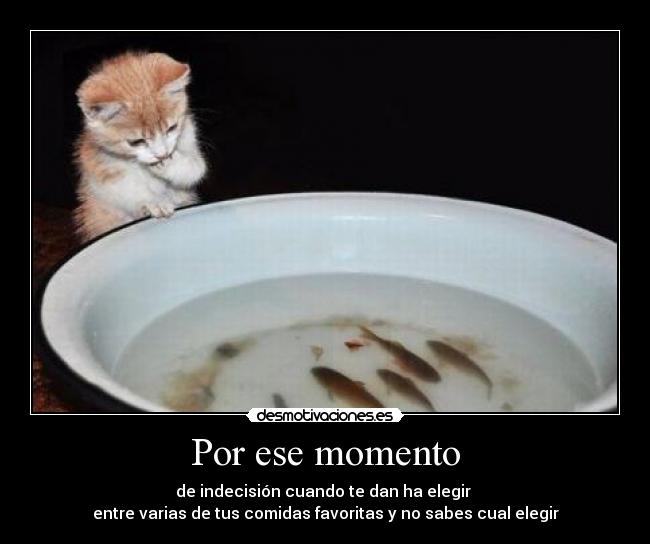 Por ese momento - de indecisión cuando te dan ha elegir 
entre varias de tus comidas favoritas y no sabes cual elegir