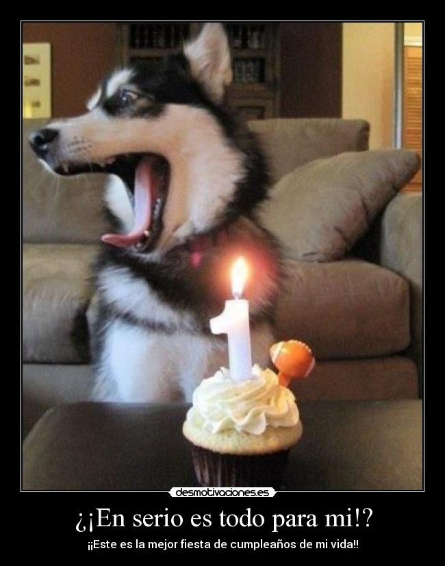 ¿¡En serio es todo para mi!? -