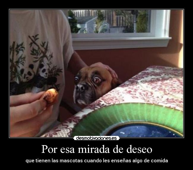 Por esa mirada de deseo - 