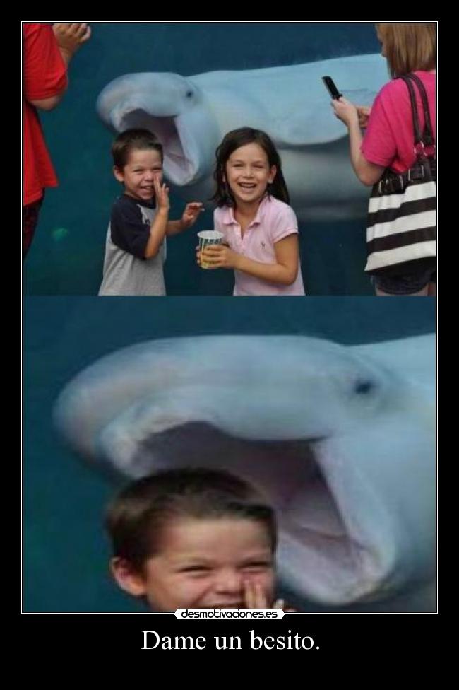 carteles vio con cabeza lechuga queria comer aparte porque iba drogao desmotivaciones