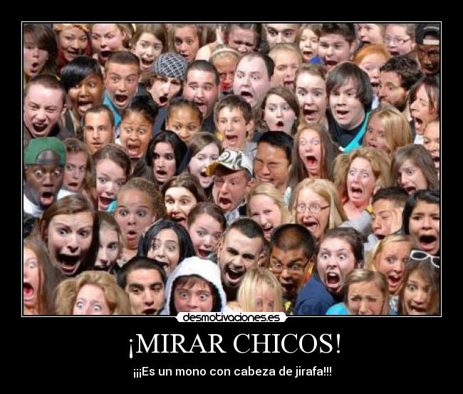 carteles pues asi que venio mente realidad estaban viendo cerdos revolcandose mierda desmotivaciones