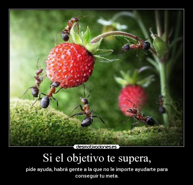 Si el objetivo te supera, - pide ayuda, habrá gente a la que no le importe ayudarte para conseguir tu meta.