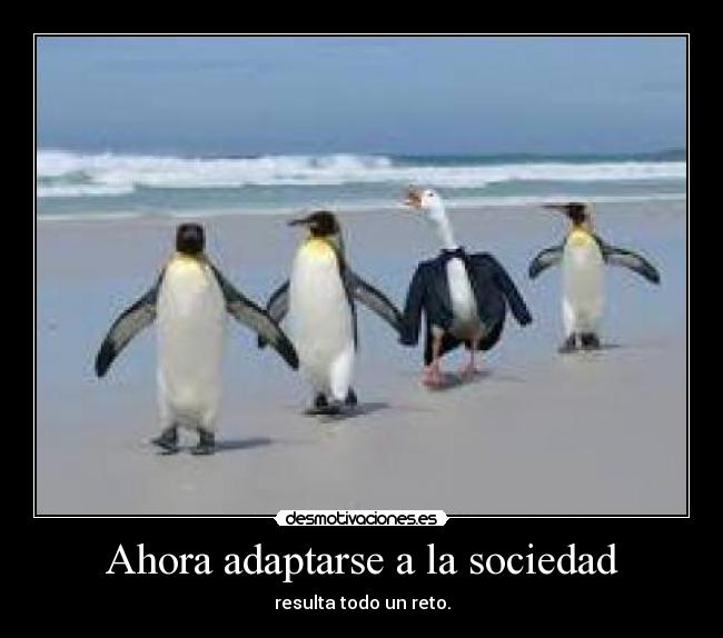 Ahora adaptarse a la sociedad - resulta todo un reto.