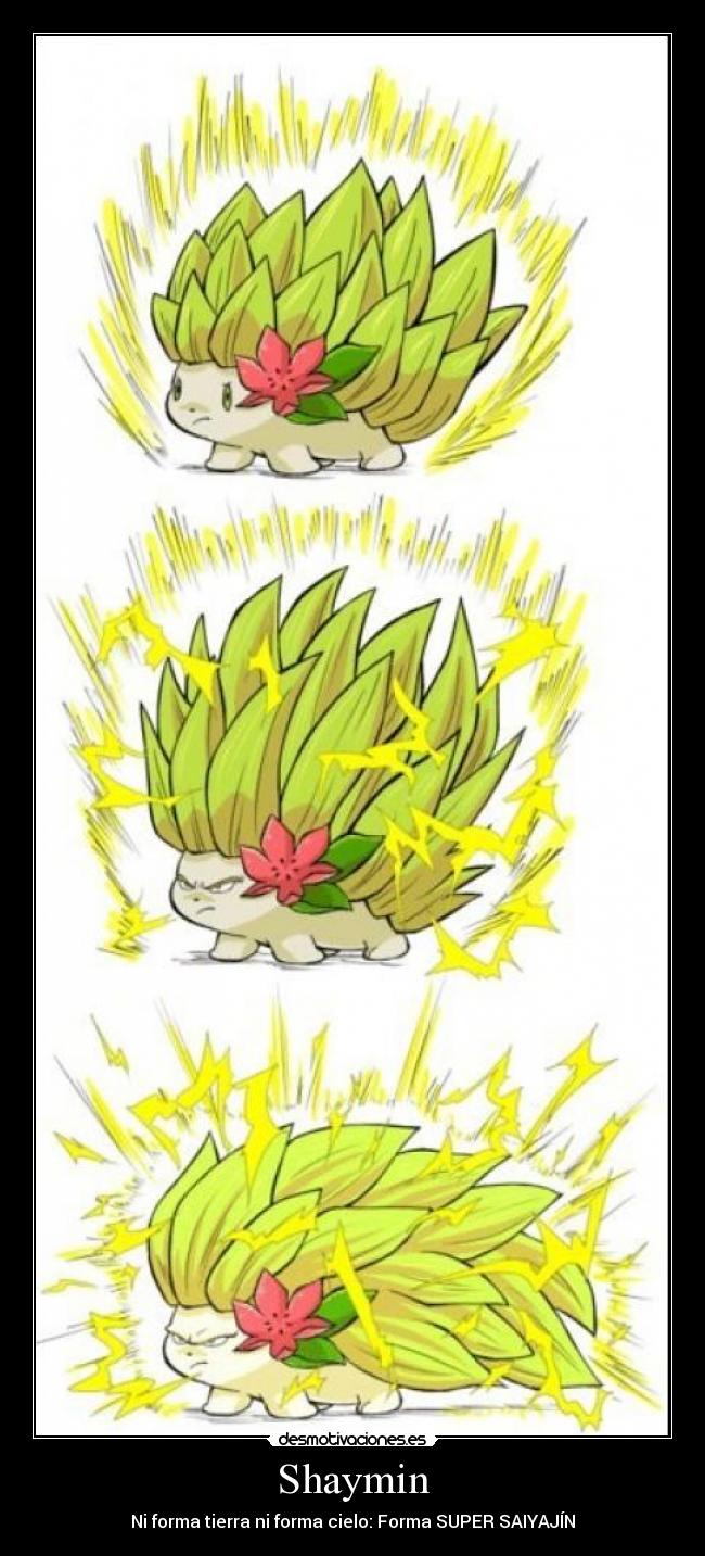 Shaymin -