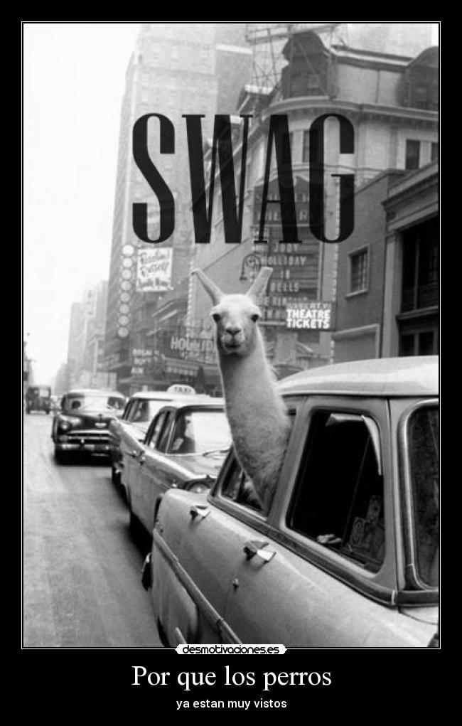 Por que los perros - ya estan muy vistos