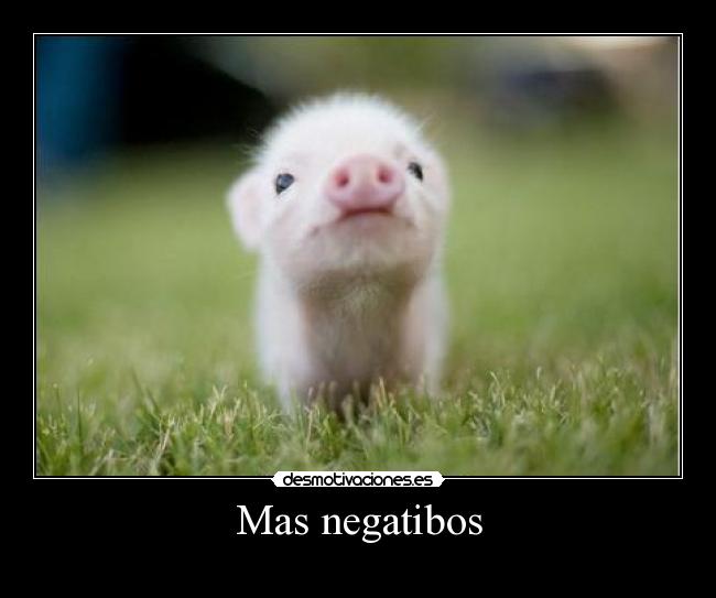 Mas negatibos - 