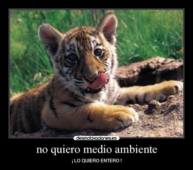 no quiero medio ambiente - 