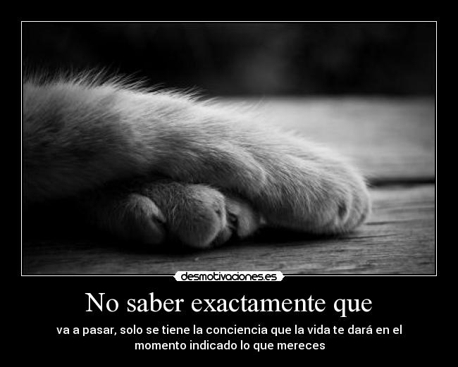No saber exactamente que - va a pasar, solo se tiene la conciencia que la vida te dará en el
momento indicado lo que mereces