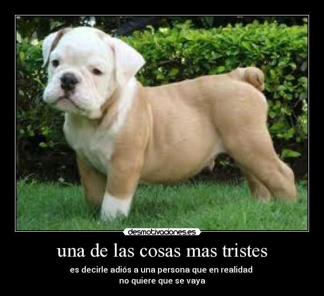 una de las cosas mas tristes - es decirle adiós a una persona que en realidad
no quiere que se vaya