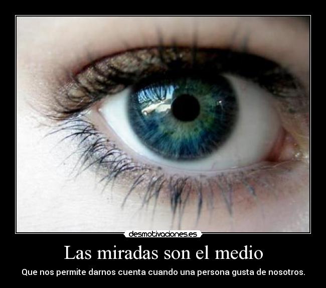 Las miradas son el medio -