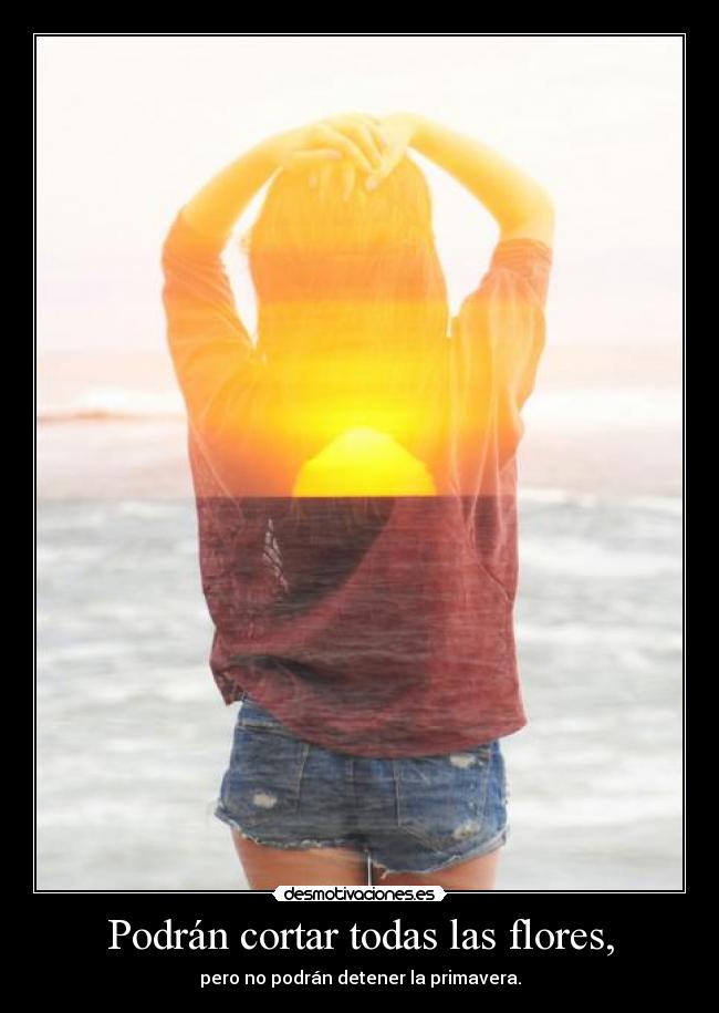 Podrán cortar todas las flores, - 