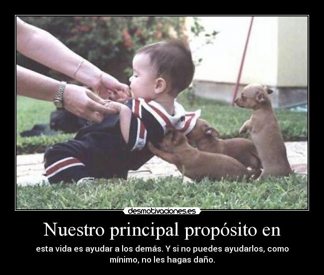 Nuestro principal propósito en -