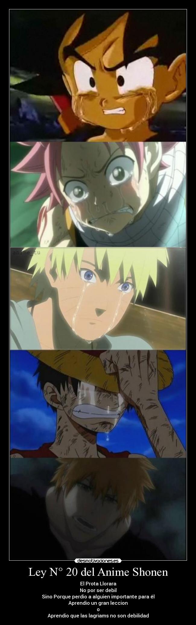Ley N° 20 del Anime Shonen -