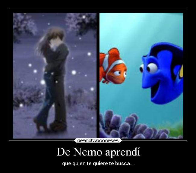De Nemo aprendí - 